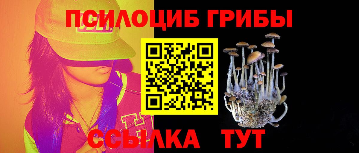 Псилоцибиновые грибы Magic Shrooms Десногорск